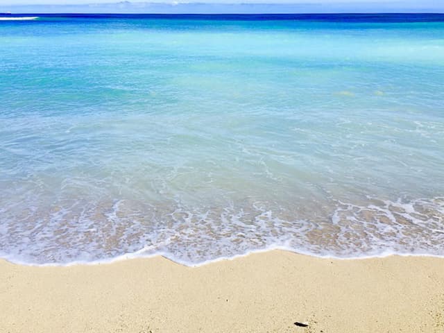 A calm natural scene representing support for anxiety disorders