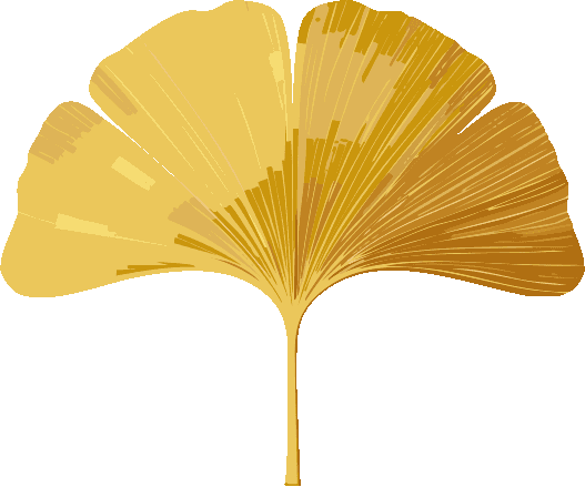 ginkgo leaf