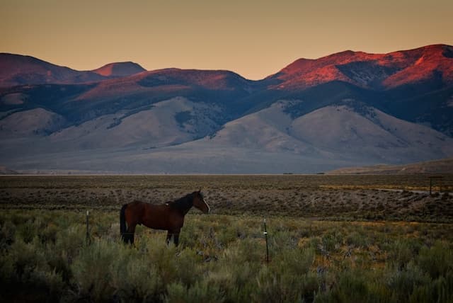 image of Idaho